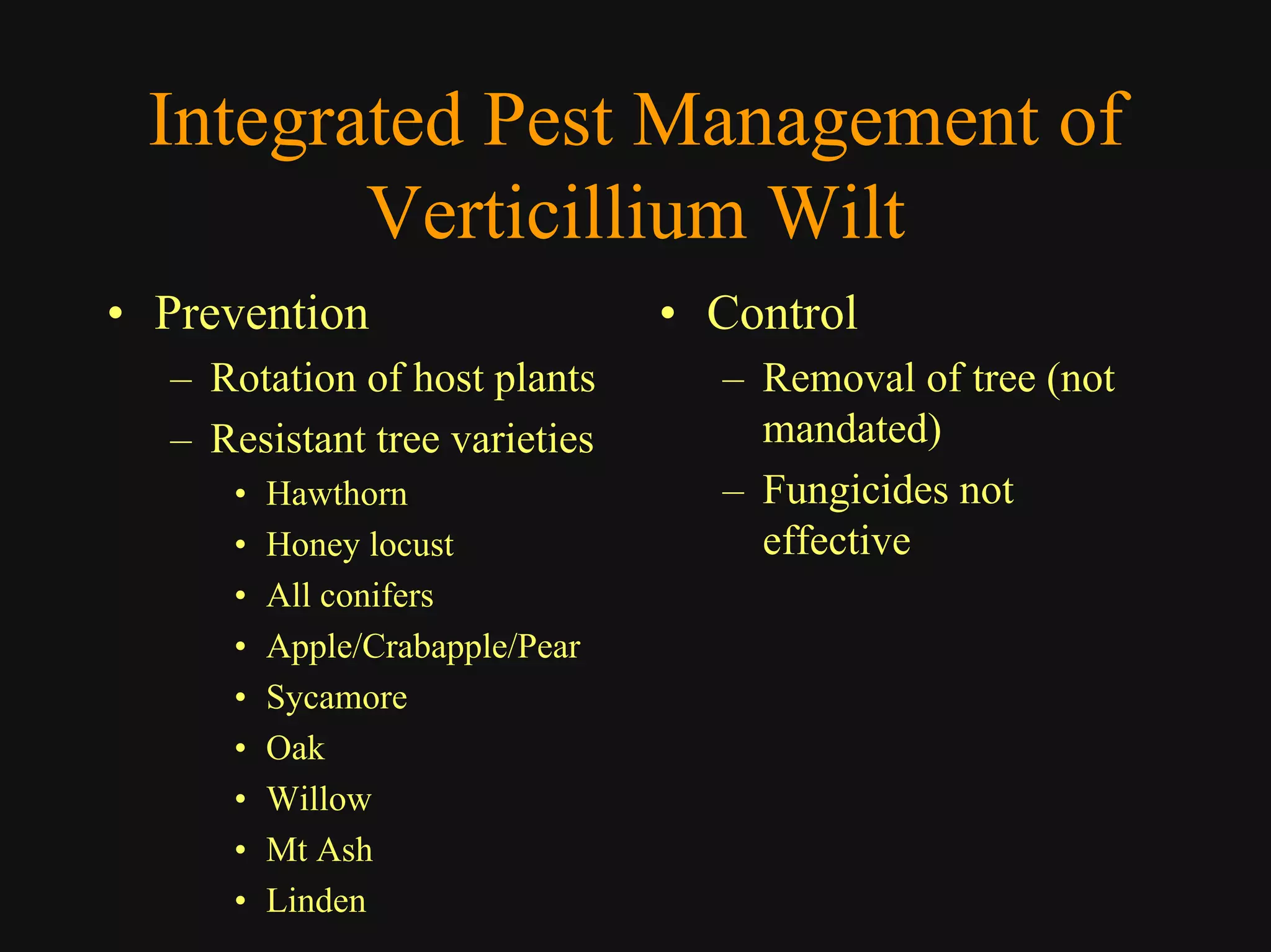 Good Class4 Ornamental Diseases