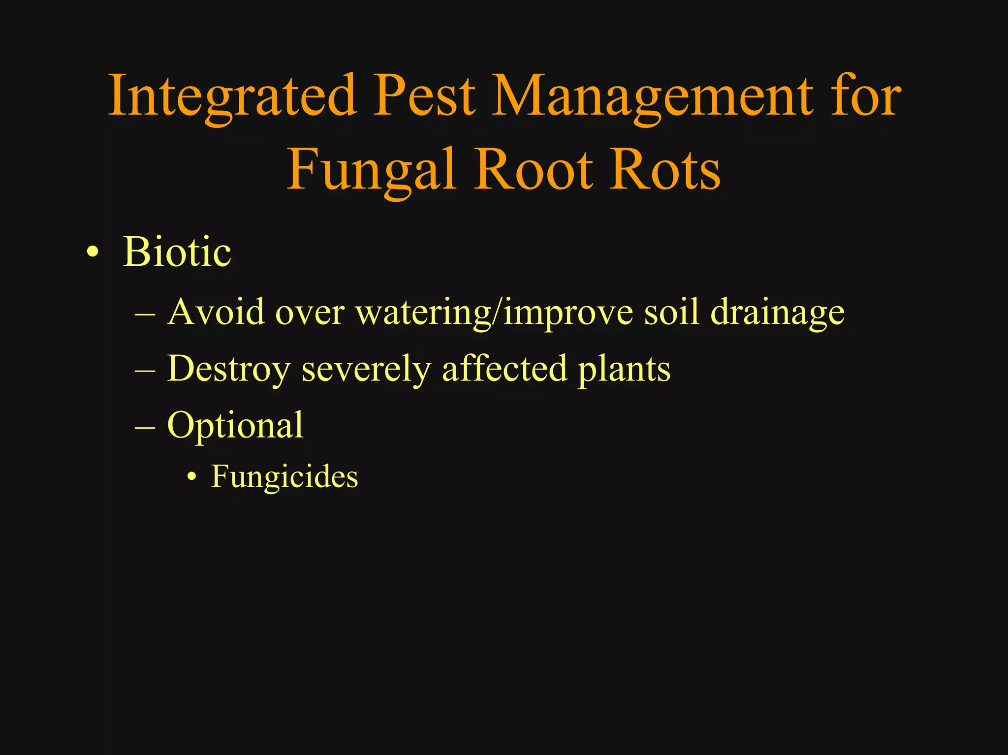 Good Class4 Ornamental Diseases