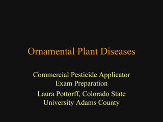 Ornamental Plant Diseases

 Commercial Pesticide Applicator
        Exam Preparation
  Laura Pottorff, Colorado State
   University Adams County