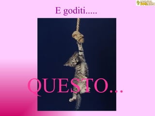E goditi..... QUESTO... 
