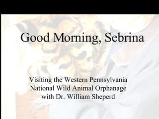 Good Morning, Sebrina Visiting the Western Pennsylvania National Wild Animal Orphanage with Dr. William Sheperd 