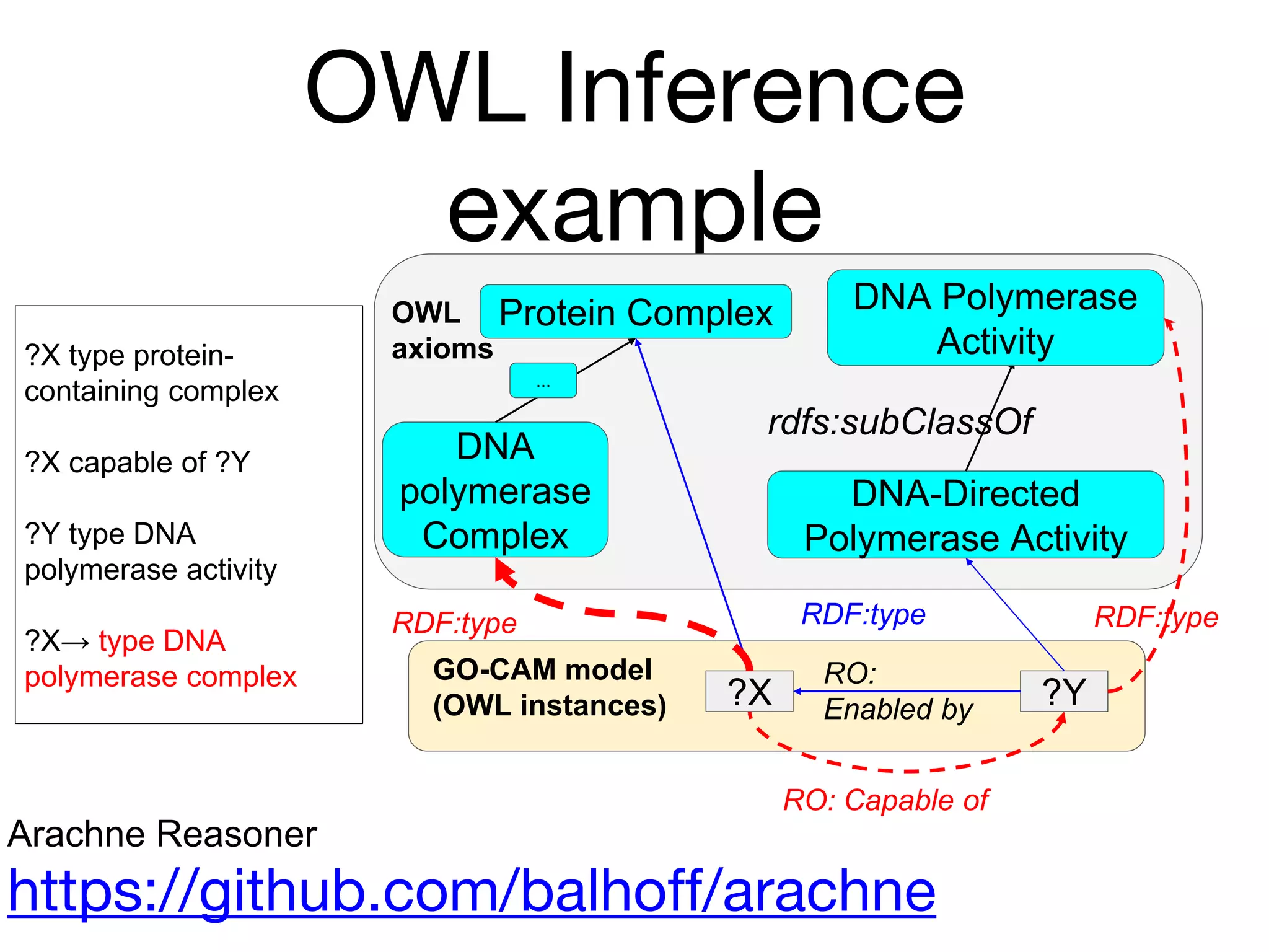 OWL Inference
example
?Y
Protein Complex
DNA-Directed
Polymerase Activity
RO:
Enabled by?X
DNA
polymerase
Complex
...
OWL
axioms
GO-CAM model
(OWL instances)
RDF:type
rdfs:subClassOf
RDF:type
RO: Capable of
DNA Polymerase
Activity
RDF:type
?X type protein-
containing complex
?X capable of ?Y
?Y type DNA
polymerase activity
?X→ type DNA
polymerase complex
Arachne Reasoner
https://github.com/balhoff/arachne
 