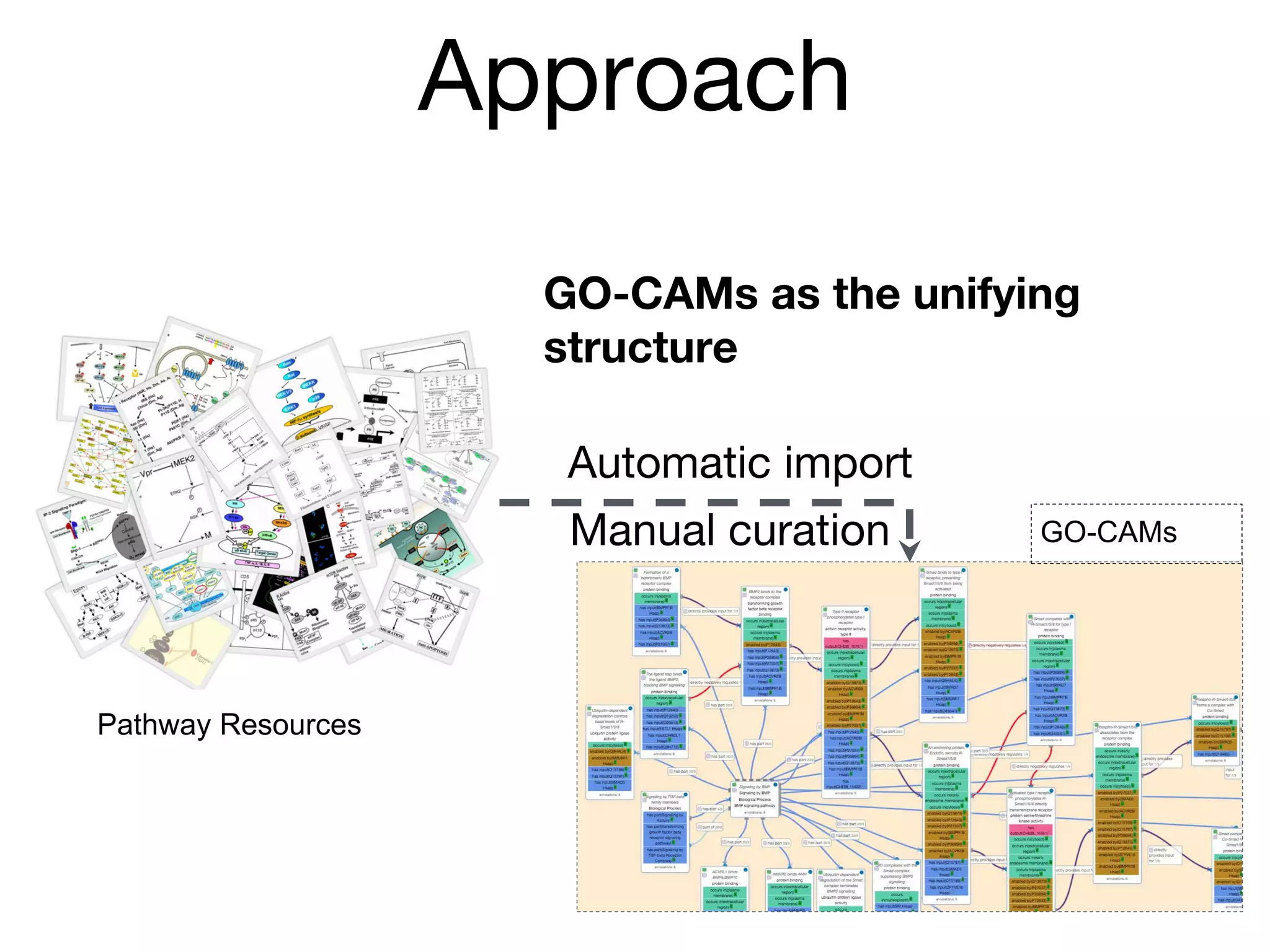 Pathway Resources
GO-CAMs
Approach
GO-CAMs as the unifying
structure
Manual curation
Automatic import
 