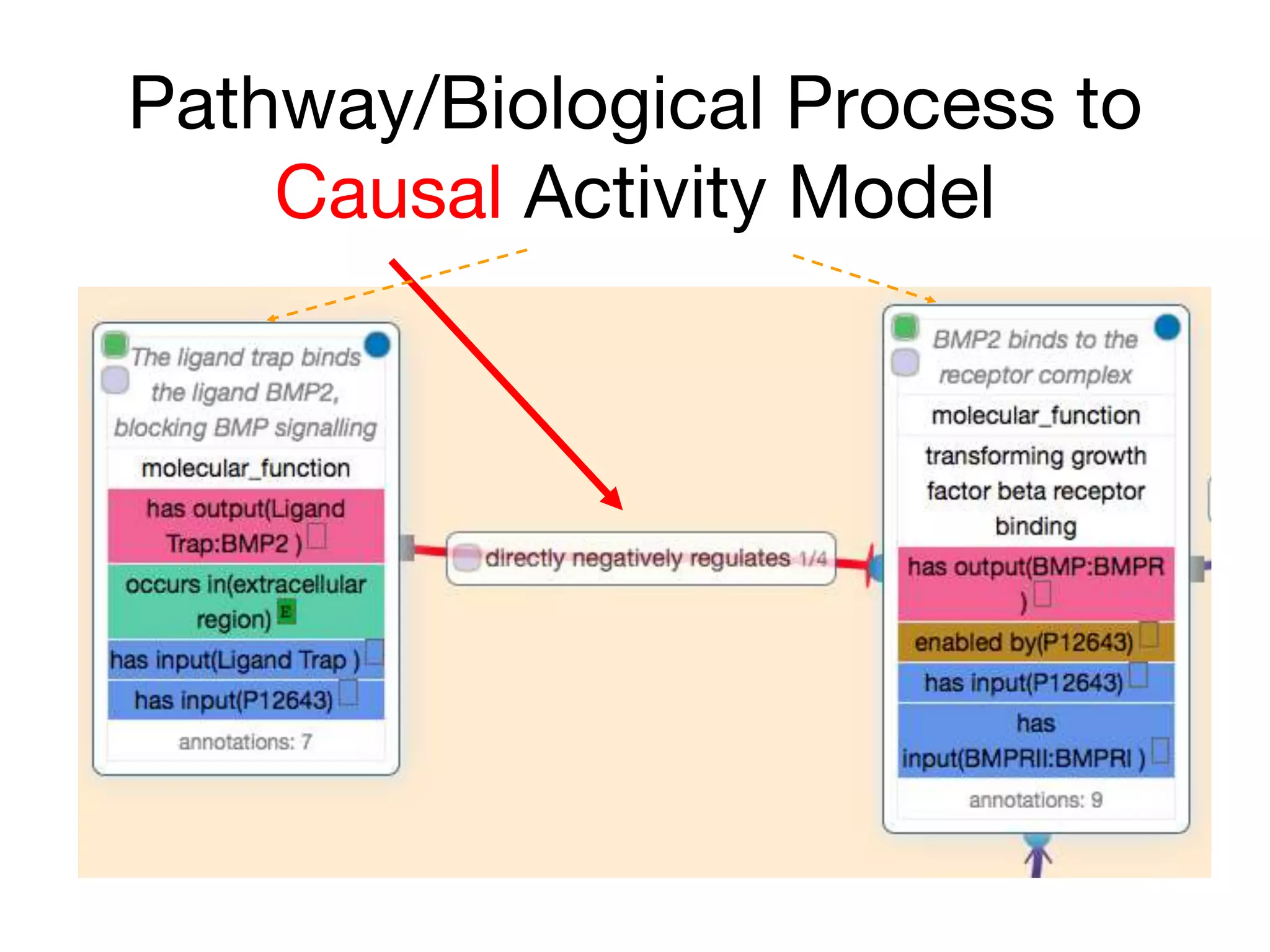 Pathway/Biological Process to
Causal Activity Model
 