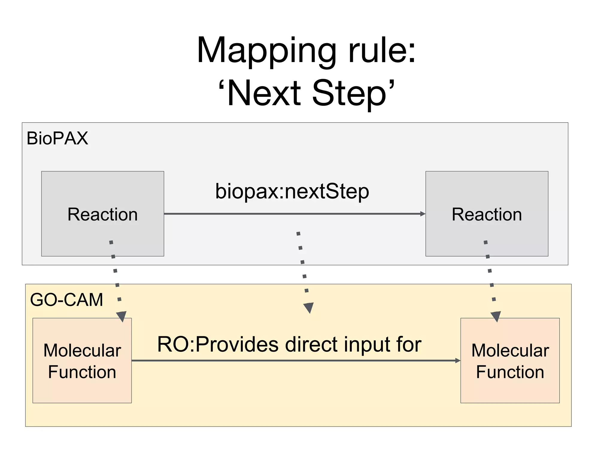 GO-CAM
BioPAX
Mapping rule:
‘Next Step’
RO:Provides direct input for
Reaction Reaction
biopax:nextStep
Molecular
Function
Molecular
Function
 