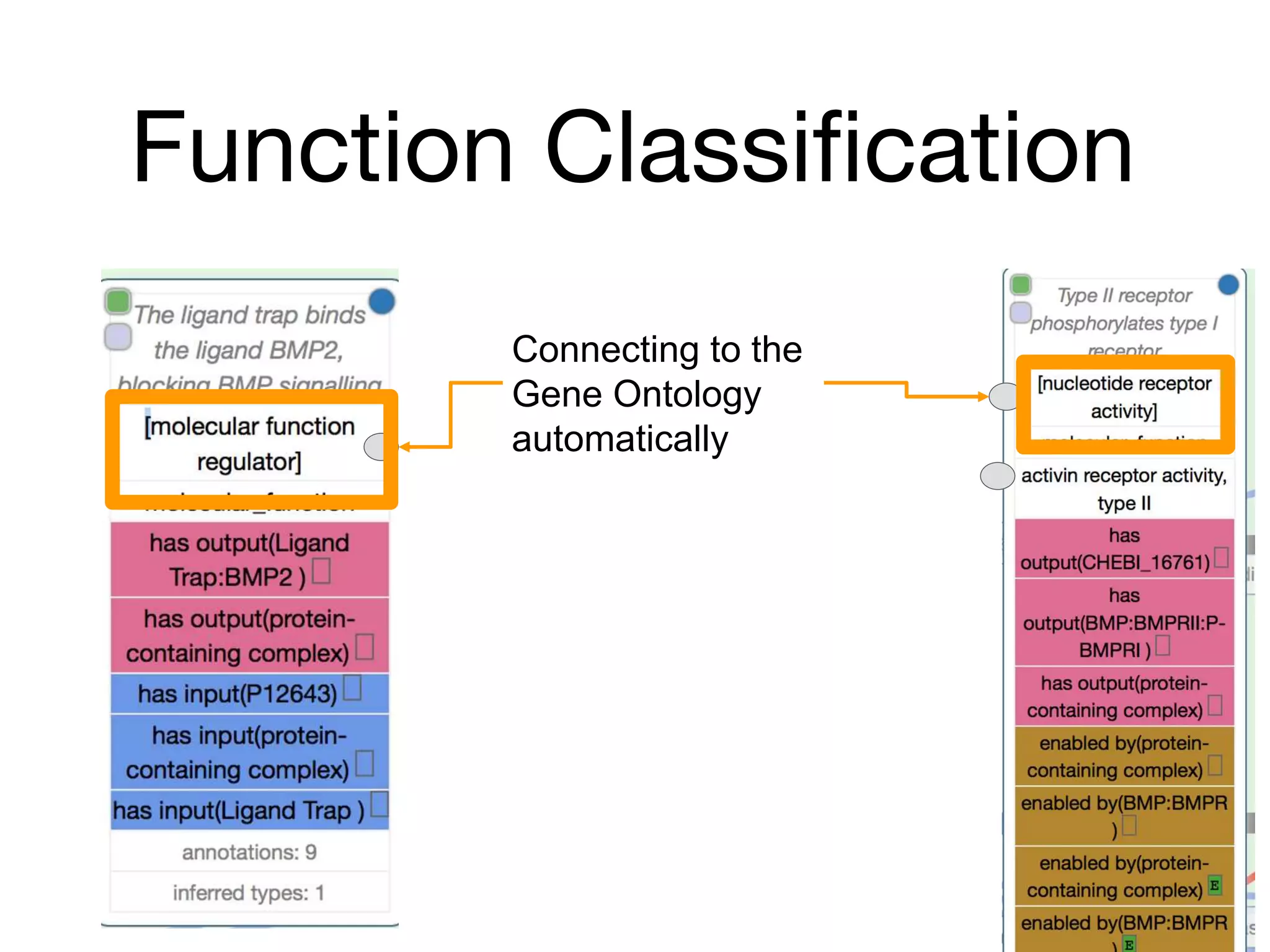 Function Classification
Connecting to the
Gene Ontology
automatically
 