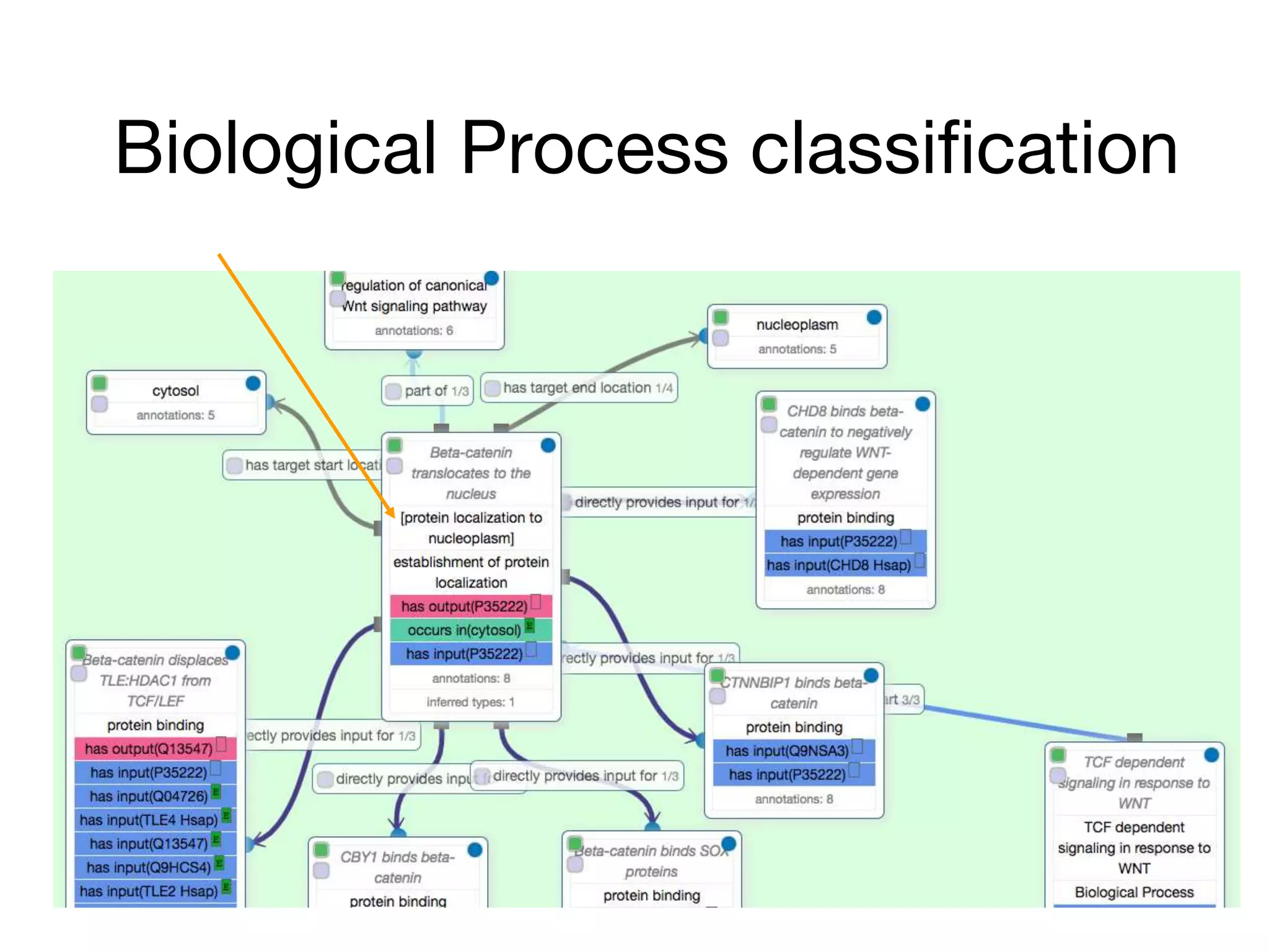 Biological Process classification
 