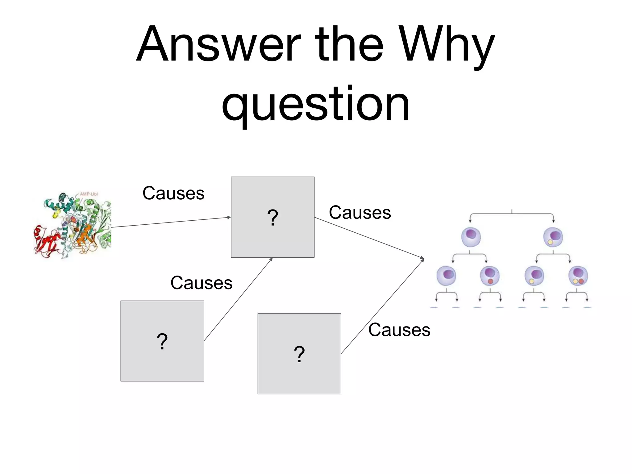 Answer the Why
question
?
Causes
Causes
Causes
Causes
?
?
 