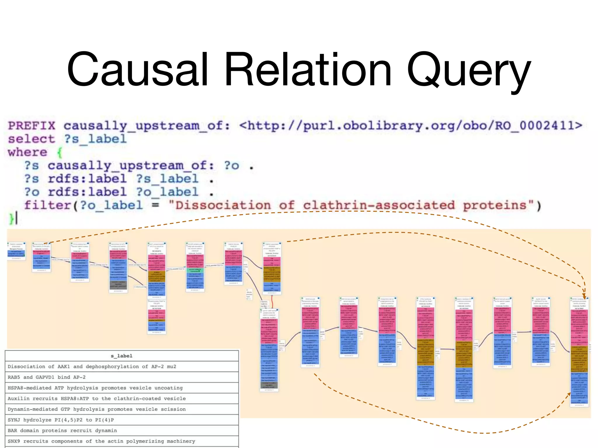 Causal Relation Query
 