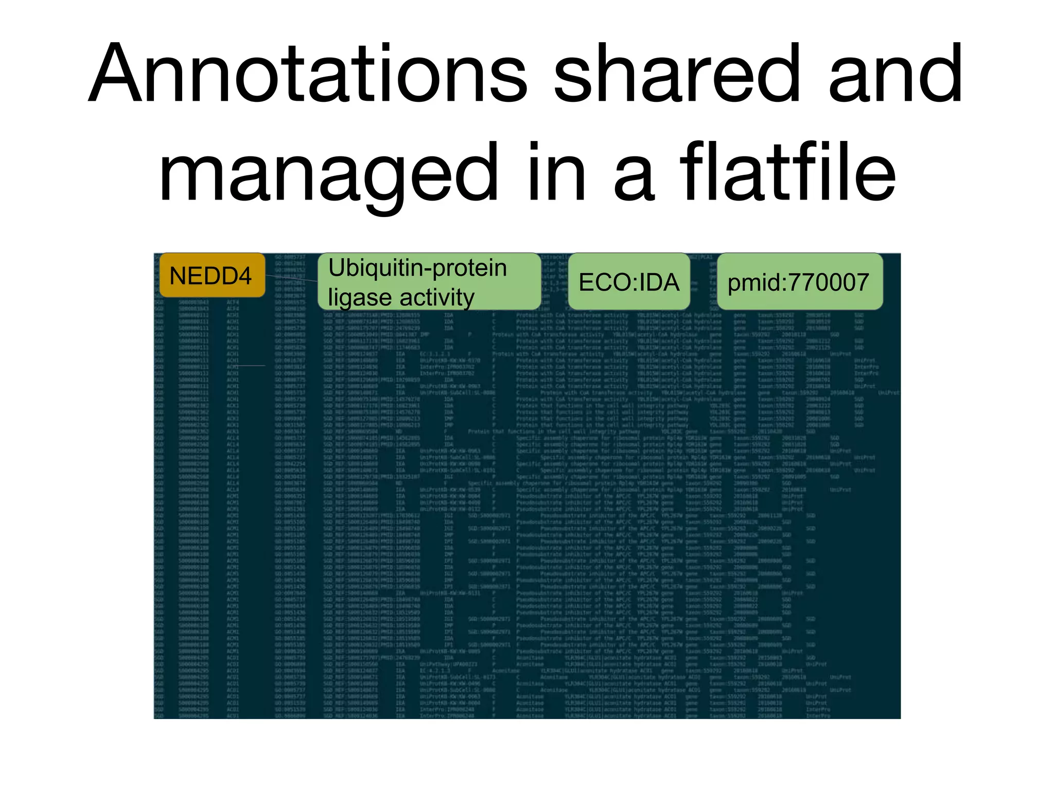 Annotations shared and
managed in a flatfile
NEDD4 Ubiquitin-protein
ligase activity
pmid:770007ECO:IDA
 