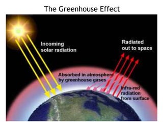 The Greenhouse Effect
 