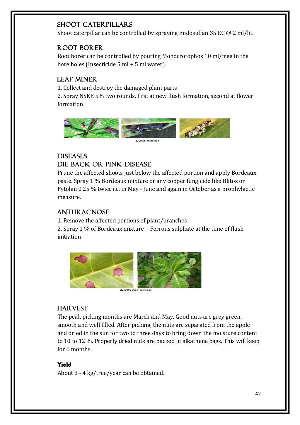 Good agricultural practices(n)