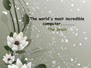 The world's most incredible computer........The brain