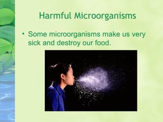 Harmful Microorganisms
• Some microorganisms make us very
sick and destroy our food.
 