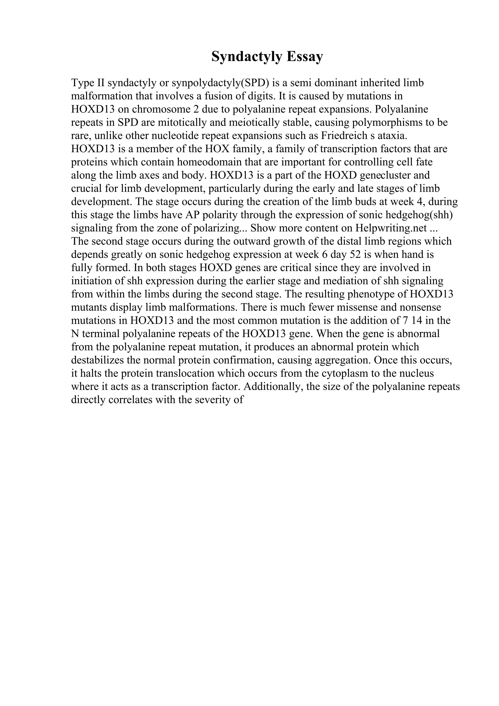 Syndactyly Essay
Type II syndactyly or synpolydactyly(SPD) is a semi dominant inherited limb
malformation that involves a fusion of digits. It is caused by mutations in
HOXD13 on chromosome 2 due to polyalanine repeat expansions. Polyalanine
repeats in SPD are mitotically and meiotically stable, causing polymorphisms to be
rare, unlike other nucleotide repeat expansions such as Friedreich s ataxia.
HOXD13 is a member of the HOX family, a family of transcription factors that are
proteins which contain homeodomain that are important for controlling cell fate
along the limb axes and body. HOXD13 is a part of the HOXD genecluster and
crucial for limb development, particularly during the early and late stages of limb
development. The stage occurs during the creation of the limb buds at week 4, during
this stage the limbs have AP polarity through the expression of sonic hedgehog(shh)
signaling from the zone of polarizing... Show more content on Helpwriting.net ...
The second stage occurs during the outward growth of the distal limb regions which
depends greatly on sonic hedgehog expression at week 6 day 52 is when hand is
fully formed. In both stages HOXD genes are critical since they are involved in
initiation of shh expression during the earlier stage and mediation of shh signaling
from within the limbs during the second stage. The resulting phenotype of HOXD13
mutants display limb malformations. There is much fewer missense and nonsense
mutations in HOXD13 and the most common mutation is the addition of 7 14 in the
N terminal polyalanine repeats of the HOXD13 gene. When the gene is abnormal
from the polyalanine repeat mutation, it produces an abnormal protein which
destabilizes the normal protein confirmation, causing aggregation. Once this occurs,
it halts the protein translocation which occurs from the cytoplasm to the nucleus
where it acts as a transcription factor. Additionally, the size of the polyalanine repeats
directly correlates with the severity of
 