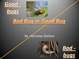By : Nicholas Shelton Good - bugs Bad Bug or Good Bug Bad - bugs 