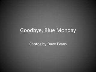 Goodbye, Blue Monday

   Photos by Dave Evans
 