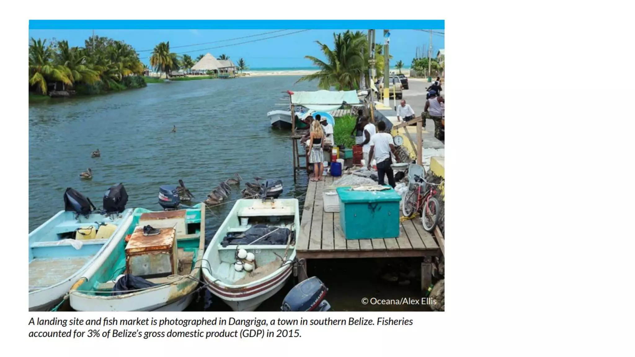 Goodbye, gillnets from ocean