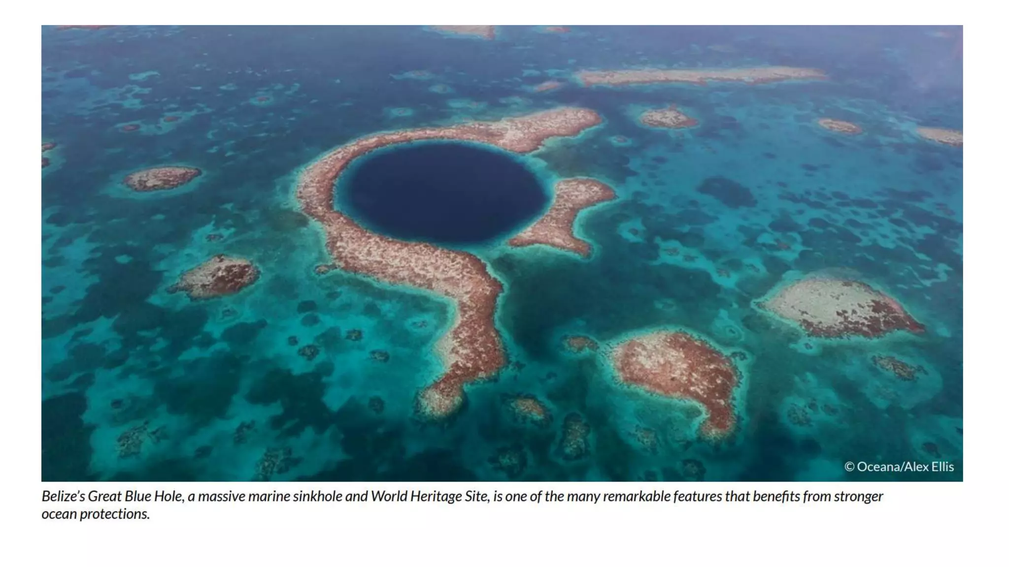 Goodbye, gillnets from ocean