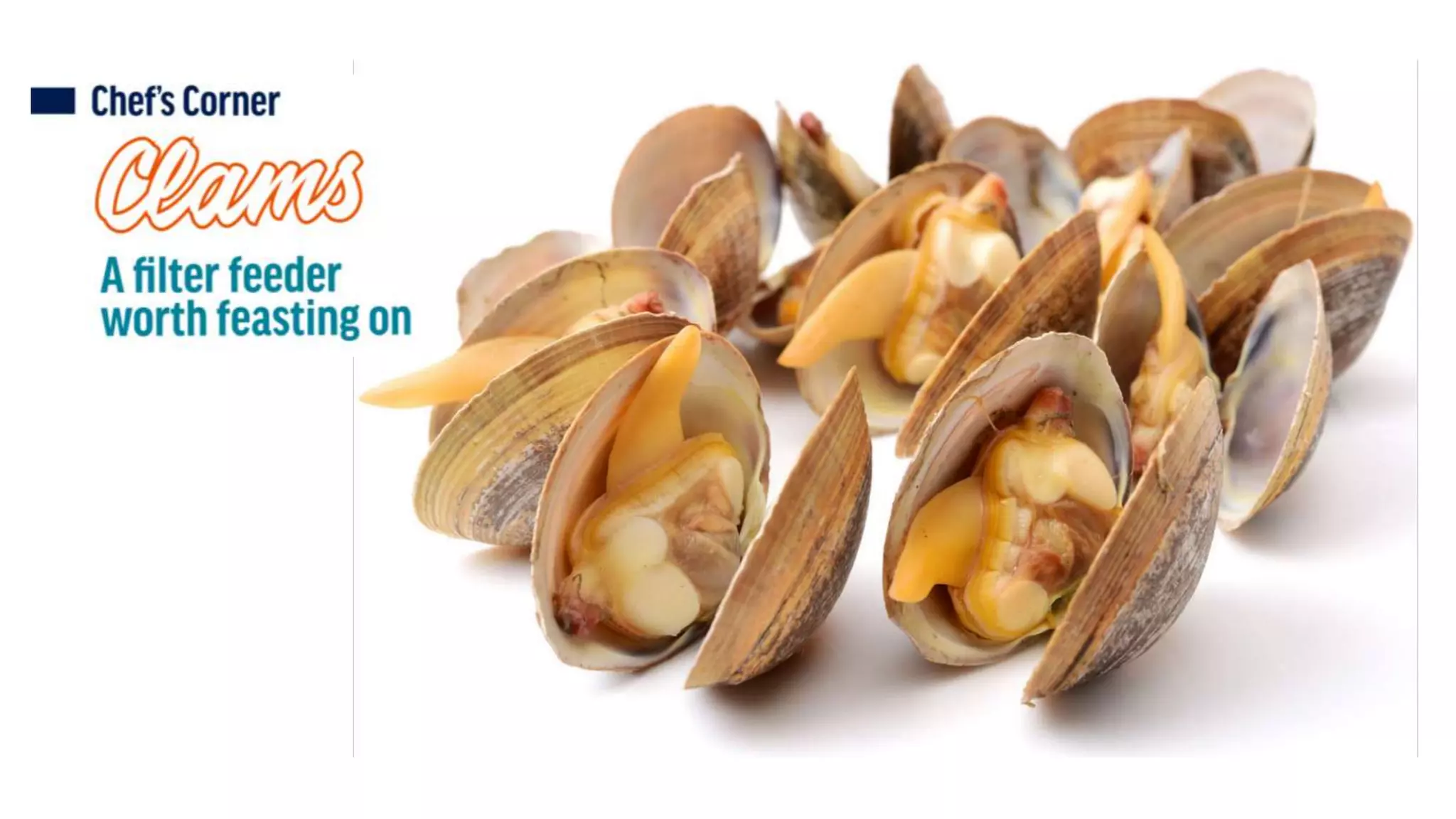 Goodbye, gillnets from ocean