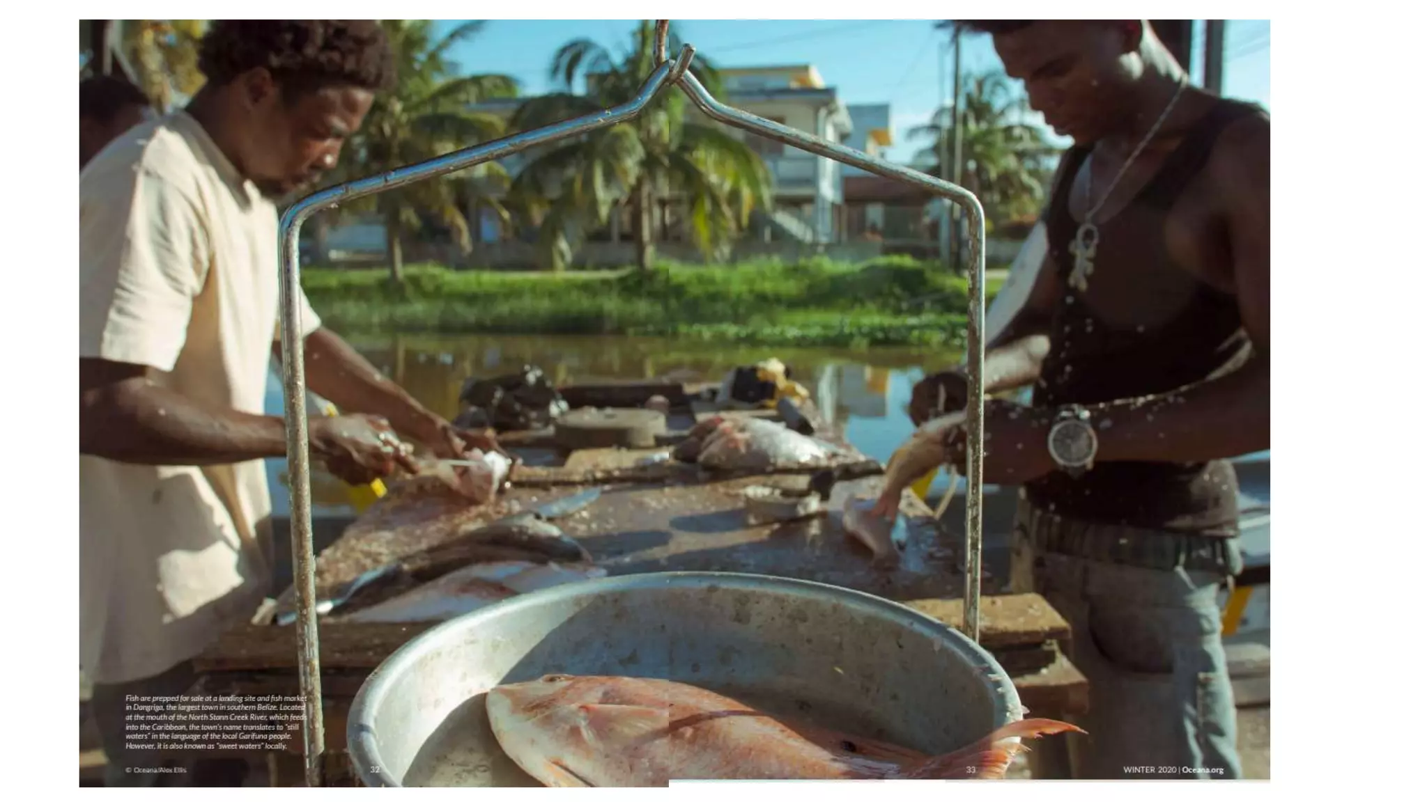 Goodbye, gillnets from ocean