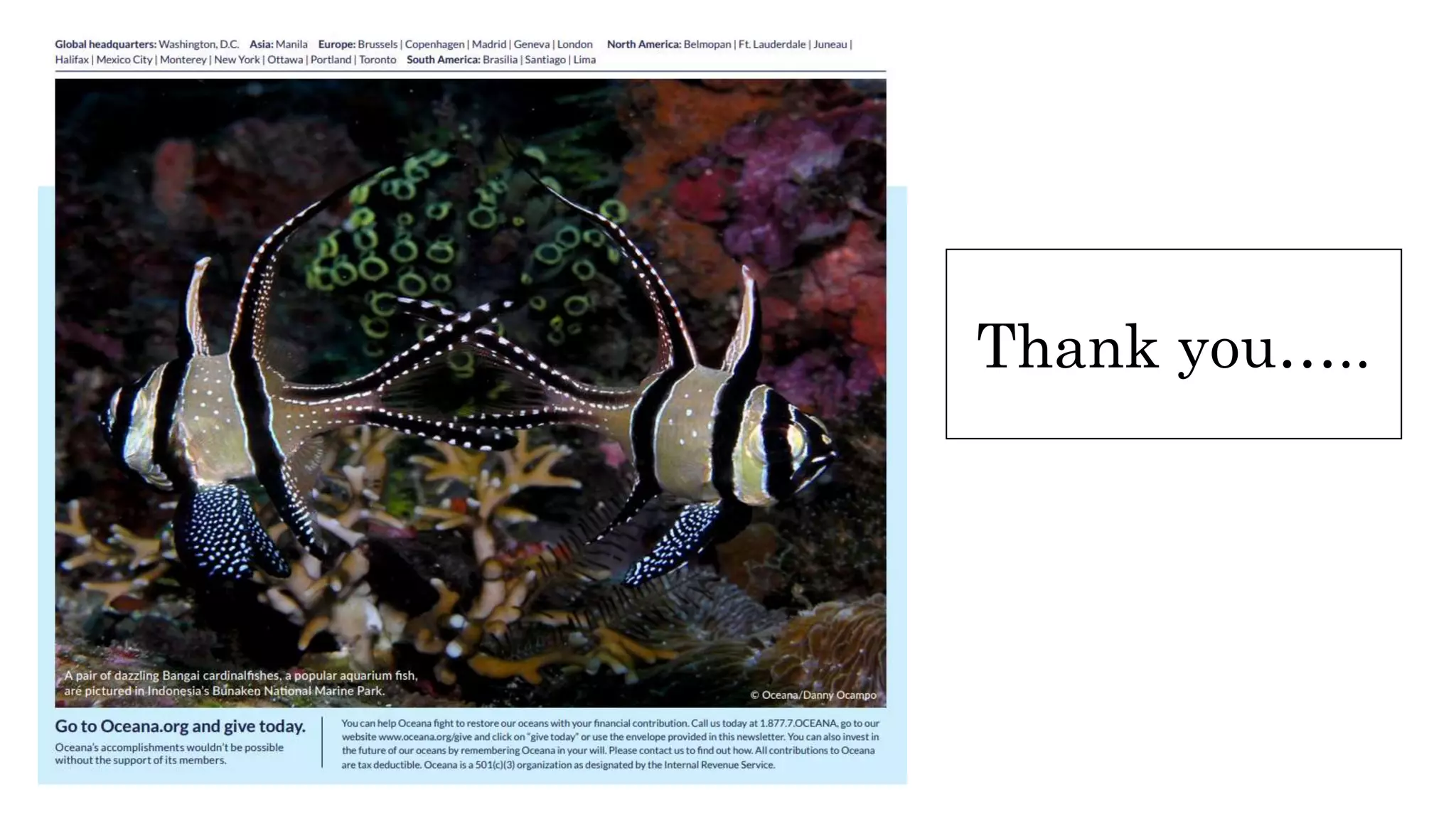 Goodbye, gillnets from ocean