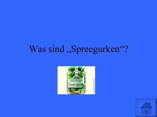 Was sind „Spreegurken“? 