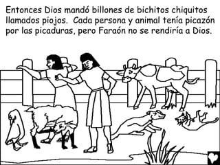 Entonces Dios mandó billones de bichitos chiquitos
llamados piojos. Cada persona y animal tenía picazón
por las picaduras, pero Faraón no se rendiría a Dios.
 