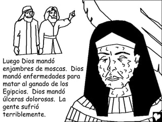 Luego Dios mandó
enjambres de moscas. Dios
mandó enfermedades para
matar al ganado de los
Egipcios. Dios mandó
úlceras dolorosas. La
gente sufrió
terriblemente.
 