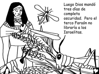 Luego Dios mandó
tres días de
completa
oscuridad. Pero el
terco Faraón no
libraría a los
Israelitas.
 