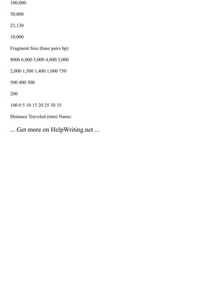 100,000
50,000
23,130
10,000
Fragment Size (base pairs bp)
8000 6,000 5,000 4,000 3,000
2,000 1,500 1,400 1,000 750
500 400 300
200
100 0 5 10 15 20 25 30 35
Distance Traveled (mm) Name:
... Get more on HelpWriting.net ...
 