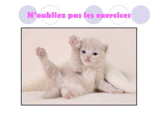N’oubliez pas les exercices