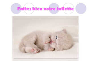 Faites bien votre toilette