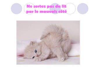 Ne sortez pas du lit par le mauvais côté