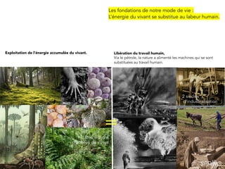 Les fondations de notre mode de vie :
L’énergie du vivant se substitue au labeur humain.
Libération du travail humain,
Via le pétrole, la nature a alimenté les machines qui se sont
substituées au travail humain.
Exploitation de l‘énergie accumulée du vivant.
2 siècles
d’industrialisation
Des millions
d’années de vivant
=
 
