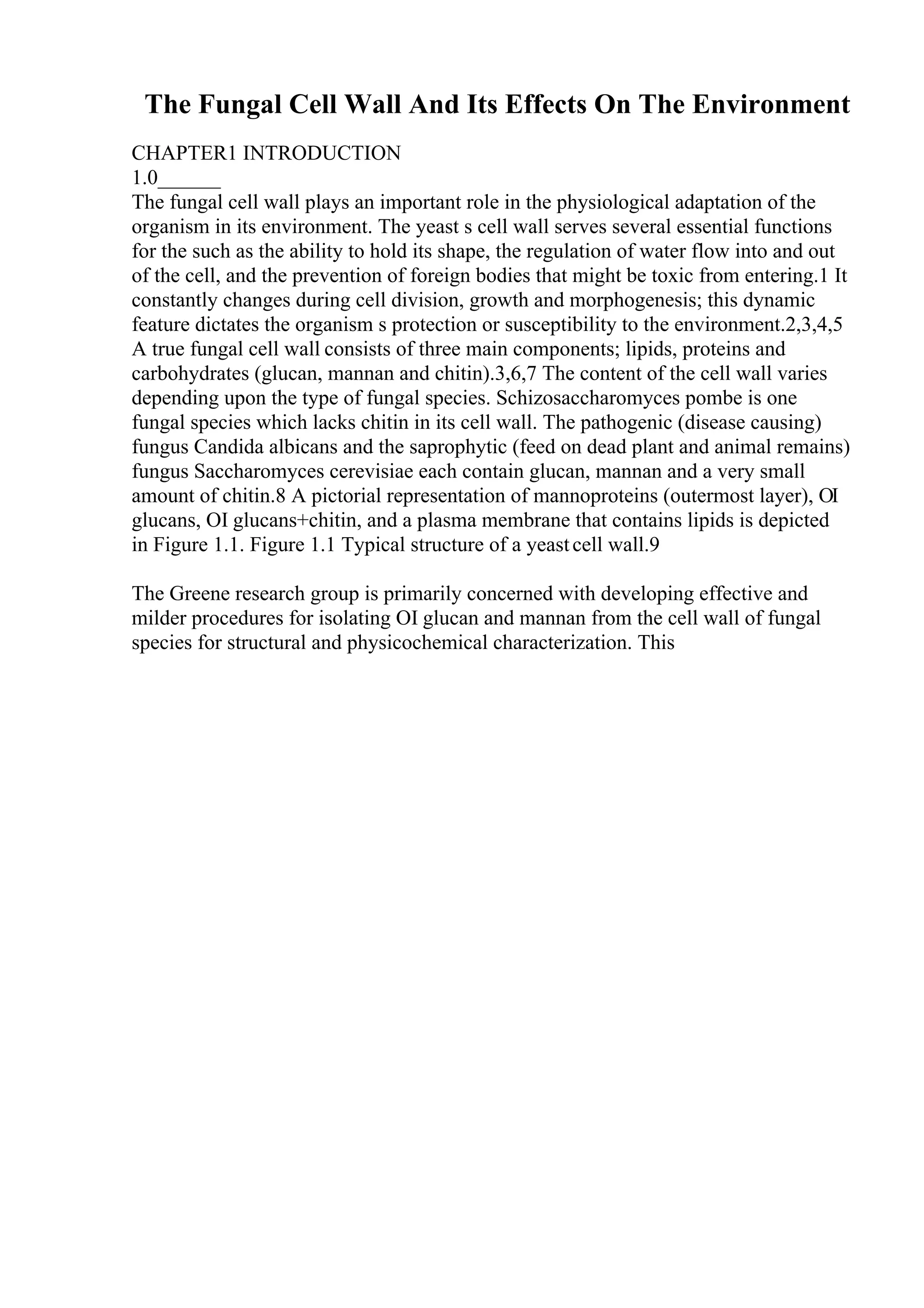 The Fungal Cell Wall And Its Effects On The Environment
CHAPTER1 INTRODUCTION
1.0______
The fungal cell wall plays an important role in the physiological adaptation of the
organism in its environment. The yeast s cell wall serves several essential functions
for the such as the ability to hold its shape, the regulation of water flow into and out
of the cell, and the prevention of foreign bodies that might be toxic from entering.1 It
constantly changes during cell division, growth and morphogenesis; this dynamic
feature dictates the organism s protection or susceptibility to the environment.2,3,4,5
A true fungal cell wall consists of three main components; lipids, proteins and
carbohydrates (glucan, mannan and chitin).3,6,7 The content of the cell wall varies
depending upon the type of fungal species. Schizosaccharomyces pombe is one
fungal species which lacks chitin in its cell wall. The pathogenic (disease causing)
fungus Candida albicans and the saprophytic (feed on dead plant and animal remains)
fungus Saccharomyces cerevisiae each contain glucan, mannan and a very small
amount of chitin.8 A pictorial representation of mannoproteins (outermost layer), ОІ
glucans, ОІ glucans+chitin, and a plasma membrane that contains lipids is depicted
in Figure 1.1. Figure 1.1 Typical structure of a yeastcell wall.9
The Greene research group is primarily concerned with developing effective and
milder procedures for isolating ОІ glucan and mannan from the cell wall of fungal
species for structural and physicochemical characterization. This
 