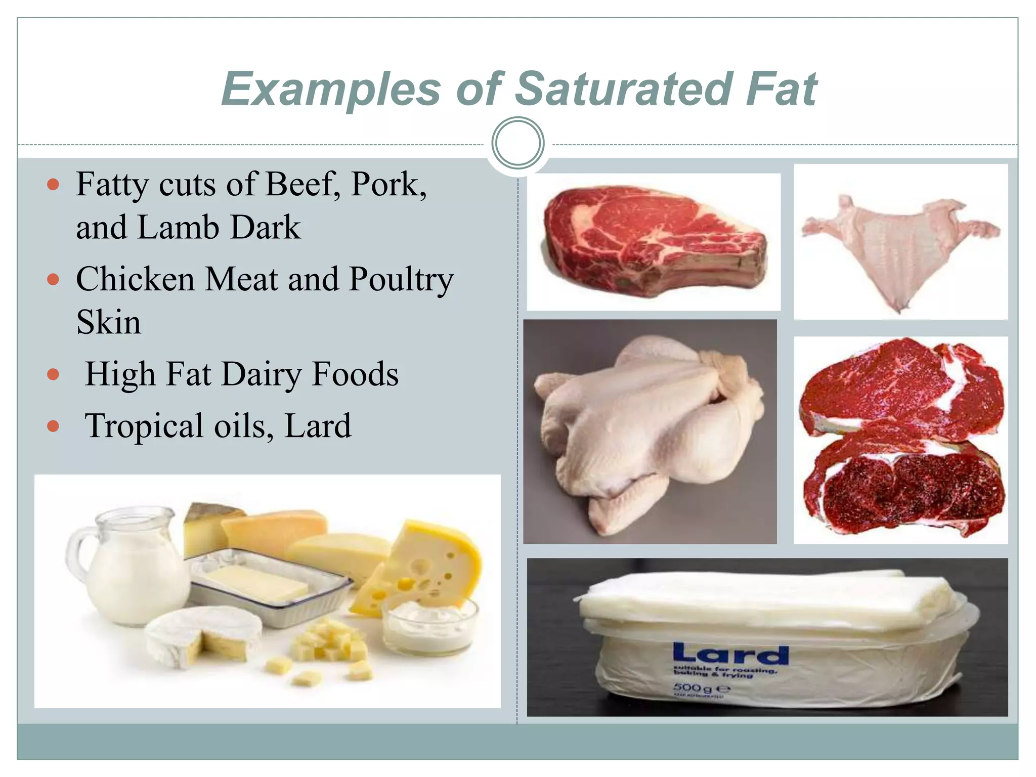 TYPES OF FAT THE GOOD AND THE BAD visual data 2