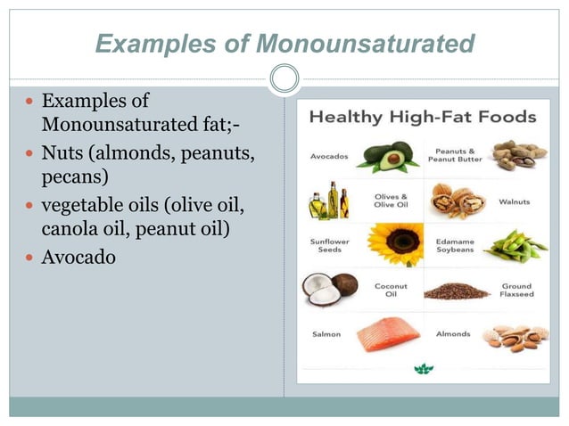TYPES OF FAT THE GOOD AND THE BAD visual data 6