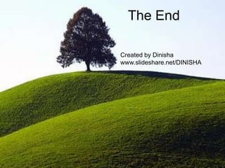 The End<br />Created by Dinisha<br />www.slideshare.net/DINISHA<br />