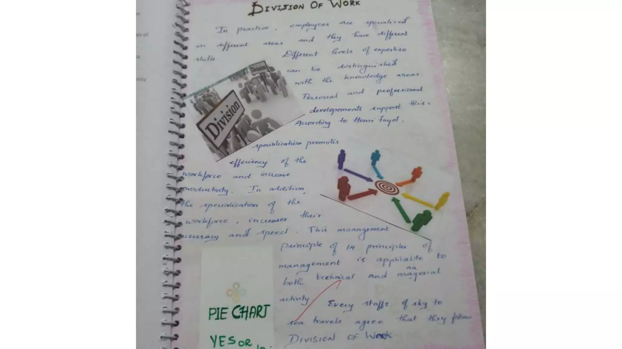 14 principles of henri fayol class 12 project