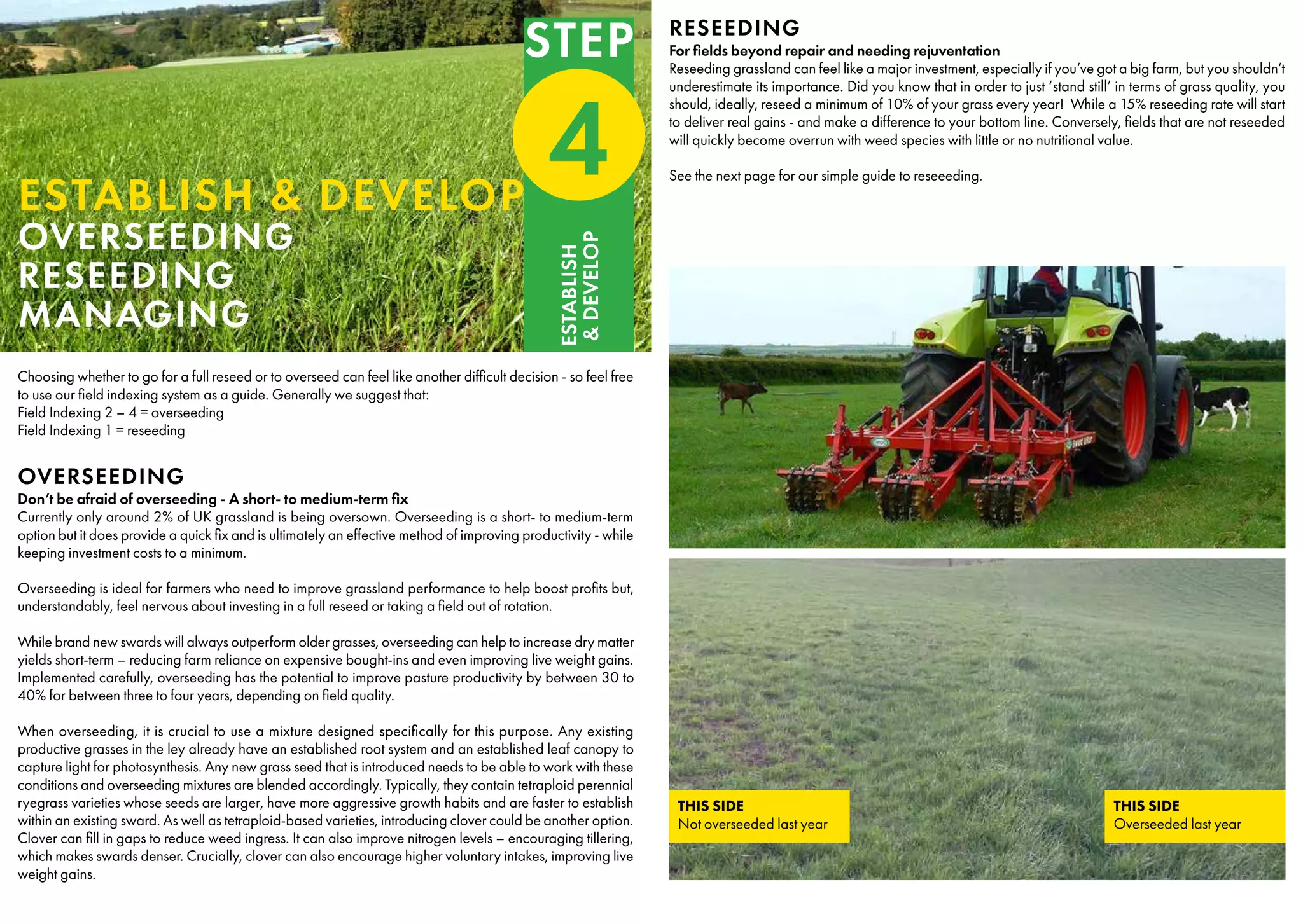THIS SIDE
Not overseeded last year
THIS SIDE
Overseeded last year
Choosing whether to go for a full reseed or to overseed can feel like another difficult decision - so feel free
to use our field indexing system as a guide. Generally we suggest that:
Field Indexing 2 – 4 = overseeding
Field Indexing 1 = reseeding
OVERSEEDING
Don’t be afraid of overseeding - A short- to medium-term fix
Currently only around 2% of UK grassland is being oversown. Overseeding is a short- to medium-term
option but it does provide a quick fix and is ultimately an effective method of improving productivity - while
keeping investment costs to a minimum.
Overseeding is ideal for farmers who need to improve grassland performance to help boost profits but,
understandably, feel nervous about investing in a full reseed or taking a field out of rotation.
While brand new swards will always outperform older grasses, overseeding can help to increase dry matter
yields short-term – reducing farm reliance on expensive bought-ins and even improving live weight gains.
Implemented carefully, overseeding has the potential to improve pasture productivity by between 30 to
40% for between three to four years, depending on field quality.
When overseeding, it is crucial to use a mixture designed specifically for this purpose. Any existing
productive grasses in the ley already have an established root system and an established leaf canopy to
capture light for photosynthesis. Any new grass seed that is introduced needs to be able to work with these
conditions and overseeding mixtures are blended accordingly. Typically, they contain tetraploid perennial
ryegrass varieties whose seeds are larger, have more aggressive growth habits and are faster to establish
within an existing sward. As well as tetraploid-based varieties, introducing clover could be another option.
Clover can fill in gaps to reduce weed ingress. It can also improve nitrogen levels – encouraging tillering,
which makes swards denser. Crucially, clover can also encourage higher voluntary intakes, improving live
weight gains.
ESTABLISH & DEVELOP
OVERSEEDING
RESEEDING
MANAGING
RESEEDING
For fields beyond repair and needing rejuventation
Reseeding grassland can feel like a major investment, especially if you’ve got a big farm, but you shouldn’t
underestimate its importance. Did you know that in order to just ‘stand still’ in terms of grass quality, you
should, ideally, reseed a minimum of 10% of your grass every year! While a 15% reseeding rate will start
to deliver real gains - and make a difference to your bottom line. Conversely, fields that are not reseeded
will quickly become overrun with weed species with little or no nutritional value.
See the next page for our simple guide to reseeeding.
STEP
4
ESTABLISH
&
DEVELOP
 