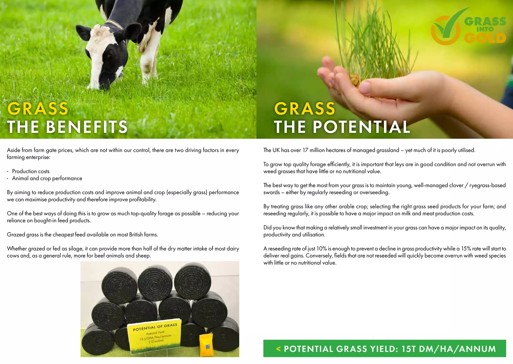Aside from farm gate prices, which are not within our control, there are two driving factors in every
farming enterprise:
-
- Production costs
-
- Animal and crop performance
By aiming to reduce production costs and improve animal and crop (especially grass) performance
we can maximise productivity and therefore improve profitability.
One of the best ways of doing this is to grow as much top-quality forage as possible – reducing your
reliance on bought-in feed products.
Grazed grass is the cheapest feed available on most British farms.
Whether grazed or fed as silage, it can provide more than half of the dry matter intake of most dairy
cows and, as a general rule, more for beef animals and sheep.
The UK has over 17 million hectares of managed grassland – yet much of it is poorly utilised.
To grow top quality forage efficiently, it is important that leys are in good condition and not overrun with
weed grasses that have little or no nutritional value.
The best way to get the most from your grass is to maintain young, well-managed clover / ryegrass-based
swards – either by regularly reseeding or overseeding.
By treating grass like any other arable crop; selecting the right grass seed products for your farm; and
reseeding regularly, it is possible to have a major impact on milk and meat production costs.
Did you know that making a relatively small investment in your grass can have a major impact on its quality,
productivity and utilisation.
A reseeding rate of just 10% is enough to prevent a decline in grass productivity while a 15% rate will start to
deliver real gains. Conversely, fields that are not reseeded will quickly become overrun with weed species
with little or no nutritional value.
GRASS
THE POTENTIAL
< POTENTIAL GRASS YIELD: 15T DM/HA/ANNUM
GRASS
THE BENEFITS
 