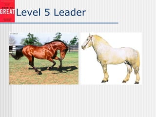 Level 5 Leader
 