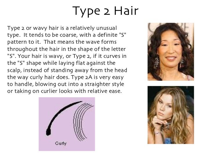 Type 2 Hair Type 2