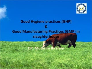 Good Hygiene practices (GHP) & Good Manufacturing Practices (GMP) in slaughterhouse DR. Mutasim Ibrahim 