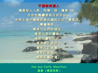 不要取笑別人 損害他人人格，快樂一時，傷害一生。 生命的整體是相互依存的， 世界上每一樣東西都依賴其它另一樣東西。 學會感恩， 感恩大自然的福佑， 感恩父母的養育， 感恩社會的安定， 感恩食之香甜， 感恩衣之溫暖， 感恩花草魚虫， 感恩苦難逆境。 Iles aux Cerfs, Mauritius 鹿島  ( 模里西斯 ) 