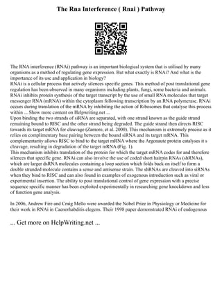 The Rna Interference ( Rnai ) Pathway
The RNA interference (RNAi) pathway is an important biological system that is utilised by many
organisms as a method of regulating gene expression. But what exactly is RNAi? And what is the
importance of its use and application in biology?
RNAi is a cellular process that actively silences specific genes. This method of post translational gene
regulation has been observed in many organisms including plants, fungi, some bacteria and animals.
RNAi inhibits protein synthesis of the target transcript by the use of small RNA molecules that target
messenger RNA (mRNA) within the cytoplasm following transcription by an RNA polymerase. RNAi
occurs during translation of the mRNA by inhibiting the action of Ribosomes that catalyse this process
within ... Show more content on Helpwriting.net ...
Upon binding the two strands of siRNA are separated, with one strand known as the guide strand
remaining bound to RISC and the other strand being degraded. The guide strand then directs RISC
towards its target mRNA for cleavage (Zamore, et al. 2000). This mechanism is extremely precise as it
relies on complimentary base pairing between the bound siRNA and its target mRNA. This
complementarity allows RISC to bind to the target mRNA where the Argonaute protein catalyses it s
cleavage, resulting in degradation of the target mRNA (Fig. 1).
This mechanism inhibits translation of the protein for which the target mRNA codes for and therefore
silences that specific gene. RNAi can also involve the use of coded short hairpin RNAs (shRNAs),
which are larger dsRNA molecules containing a loop section which folds back on itself to form a
double stranded molecule contains a sense and antisense strain. The shRNAs are cleaved into siRNAs
when they bind to RISC and can also found in examples of exogenous introduction such as viral or
experimental insertion. The ability to post translational control of gene expression with a precise
sequence specific manner has been exploited experimentally in researching gene knockdown and loss
of function gene analysis.
In 2006, Andrew Fire and Craig Mello were awarded the Nobel Prize in Physiology or Medicine for
their work in RNAi in Caenorhabditis elegens. Their 1998 paper demonstrated RNAi of endogenous
... Get more on HelpWriting.net ...
 