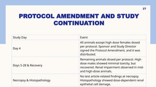 27
PROTOCOL AMENDMENT AND STUDY
CONTINUATION
Study Day Event
Day 4
All animals except high dose females dosed
per protocol. Sponsor and Study Director
signed the Protocol Amendment, and it was
distributed.
Days 5-28 & Recovery
Remaining animals dosed per protocol. High
dose males showed minimal toxicity, but
recovered. Renal impairment observed in mid-
and high-dose animals.
Necropsy & Histopathology
No test article-related findings at necropsy.
Histopathology showed dose-dependent renal
epithelial cell damage.
 