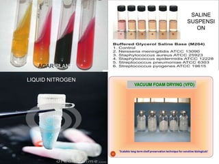 AGAR SLANT
SALINE
SUSPENSI
ON
LIQUID NITROGEN
 