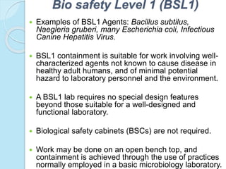 Bio safety Level 1 (BSL1)
 Examples of BSL1 Agents: Bacillus subtilus,
Naegleria gruberi, many Escherichia coli, Infectious
Canine Hepatitis Virus.
 BSL1 containment is suitable for work involving well-
characterized agents not known to cause disease in
healthy adult humans, and of minimal potential
hazard to laboratory personnel and the environment.
 A BSL1 lab requires no special design features
beyond those suitable for a well-designed and
functional laboratory.
 Biological safety cabinets (BSCs) are not required.
 Work may be done on an open bench top, and
containment is achieved through the use of practices
normally employed in a basic microbiology laboratory.
 